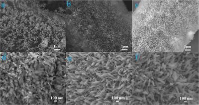 Promotion of direct electron transfer between Shewanella putrefaciens CN32 and carbon fiber electrodes via in situ growth of α-Fe2O3 nanoarray